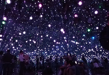 绵阳星空失恋博物展第 12 张图片