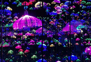 绵阳星空失恋博物展第 10 张图片