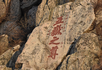 泰山风景区第 11 张图片
