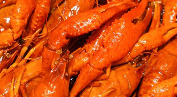 上海新世界丽笙大酒店