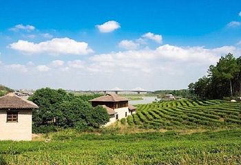 杏花村文化旅游区第 3 张图片