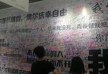 绵阳星空失恋博物展第 6 张图片