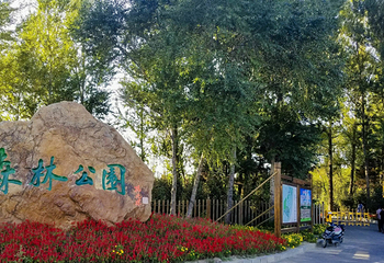 盘锦森林公园第 50 张图片