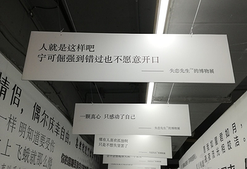 绵阳星空失恋博物展第 15 张图片