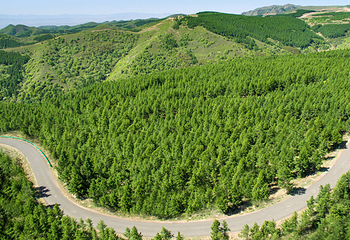 大青山国际旅游度假区第 38 张图片