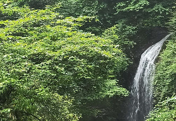 西岭雪山大飞水风景区第 3 张图片