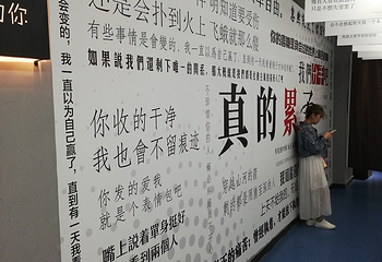 绵阳星空失恋博物展第 16 张图片