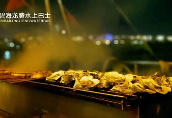 畅游海口湾水上巴士（海甸港码头）第 6 张图片