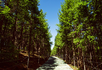 大青山国际旅游度假区第 34 张图片