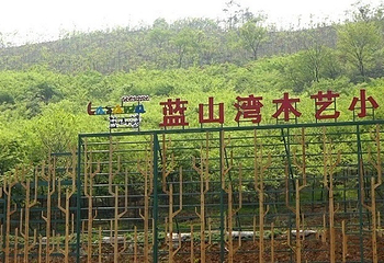 蓝山湾木艺生态小镇第 18 张图片