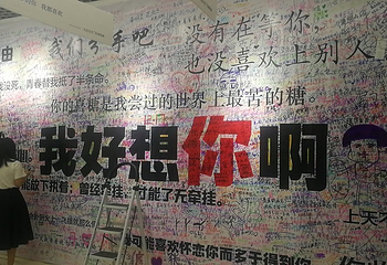 绵阳星空失恋博物展第 7 张图片