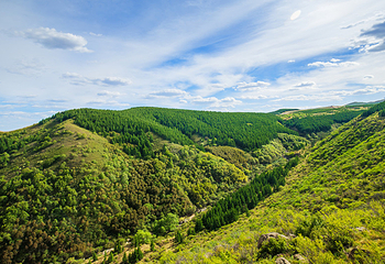 大青山国际旅游度假区第 33 张图片