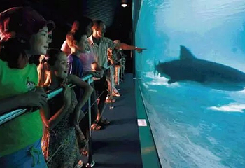 海南海洋水上乐园第 18 张图片