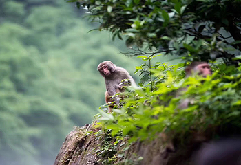 重庆统景温泉风景区第 6 张图片
