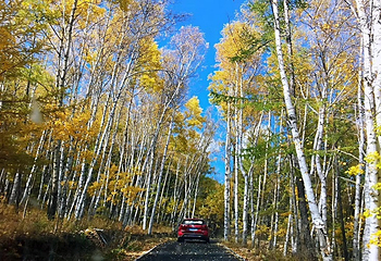 阿尔山白狼峰景区第 5 张图片