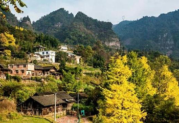 北岱底第 1 张图片