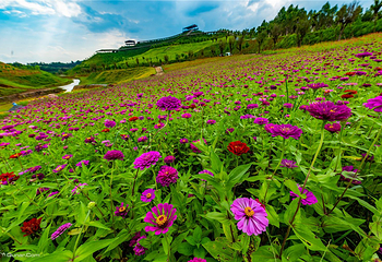 徐家庄旅游度假区第 44 张图片