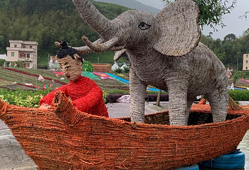 汕尾南万花海生态度假区第 7 张图片