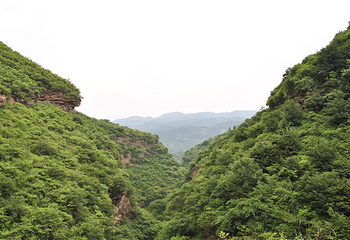 凤凰崖景区第 15 张图片