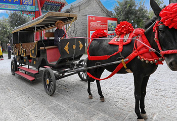 东阿中医药文化旅游区-阿胶世界第 10 张图片
