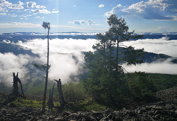 阿尔山白狼峰景区第 45 张图片