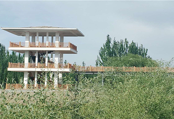 丝绸之路莎车国家湿地公园第 10 张图片