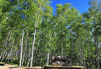 阿尔山白狼峰景区第 20 张图片