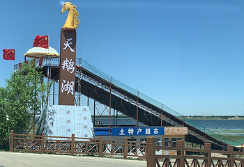 张北天鹅湖湿地公园第 1 张图片