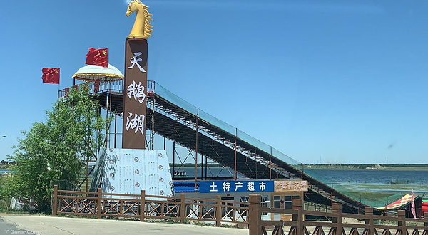 张北天鹅湖湿地公园