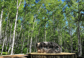 阿尔山白狼峰景区第 23 张图片