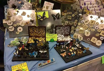 广州2019第二届生态昆虫艺术展第 2 张图片