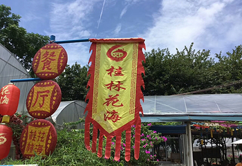 桂林花海景区第 2 张图片