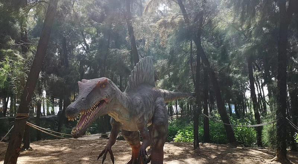 泉州惠安青山湾侏罗纪世纪大型恐龙主题公园