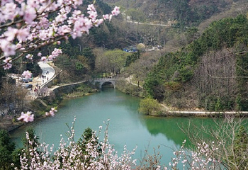 鸡公山桃花寨景区第 20 张图片