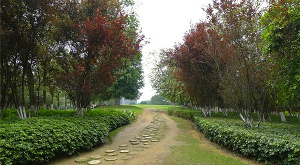 马草江生态公园