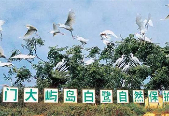 海上厦门第 4 张图片