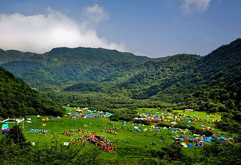 重庆千野草场景区第 15 张图片