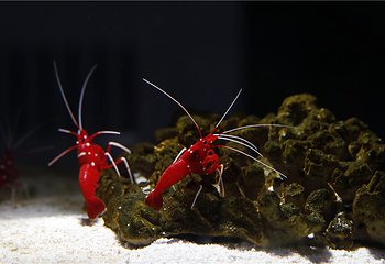 汕头海门莲花峰海洋文化馆第 3 张图片