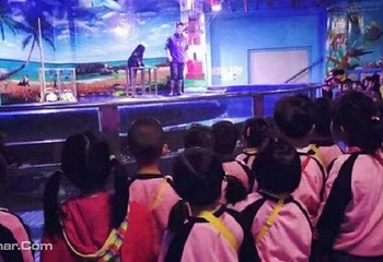 龙都海洋世界第 9 张图片