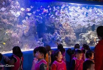 龙都海洋世界第 13 张图片