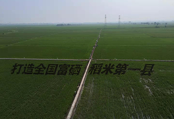 秋然稻作乐园第 1 张图片