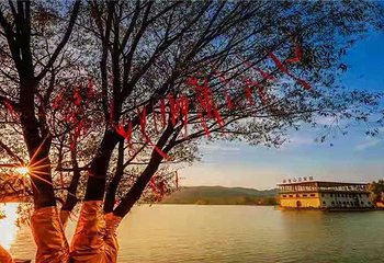 卧龙湾康养小镇第 7 张图片