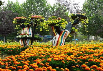 北京国际鲜花港大美儿童世界奇葩乐园第 7 张图片