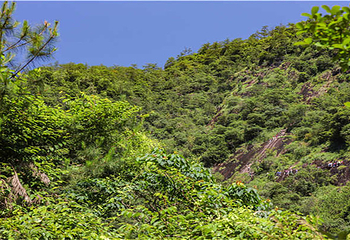 云灵山第 47 张图片