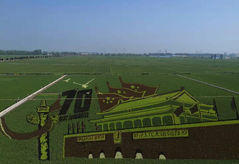 秋然稻作乐园第 5 张图片