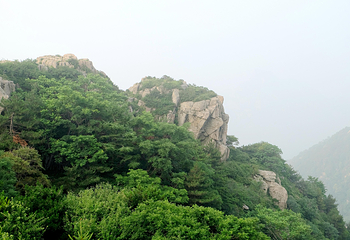 泰山风景区第 21 张图片