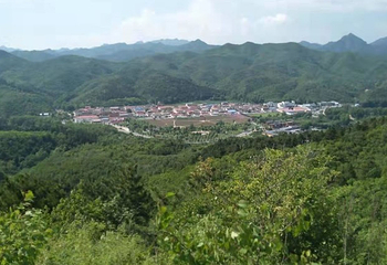 2019珍珠泉玫瑰采摘节第 16 张图片