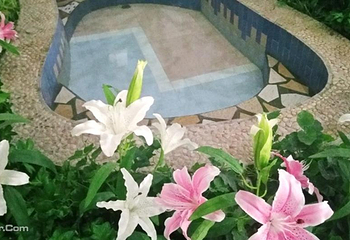 兴芮温泉汇馆第 18 张图片
