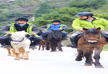 好哒呀野趣农场第 28 张图片
