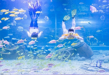 东莞海洋馆-恒远海立方环游城第 8 张图片